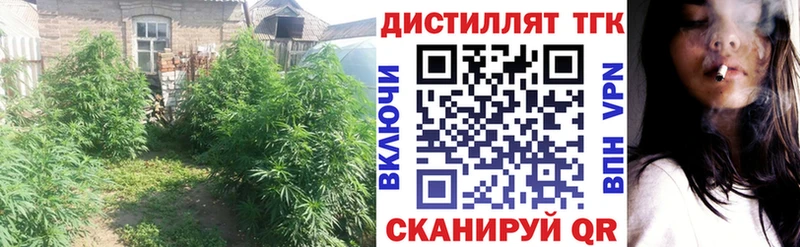 Дистиллят ТГК THC oil Азов