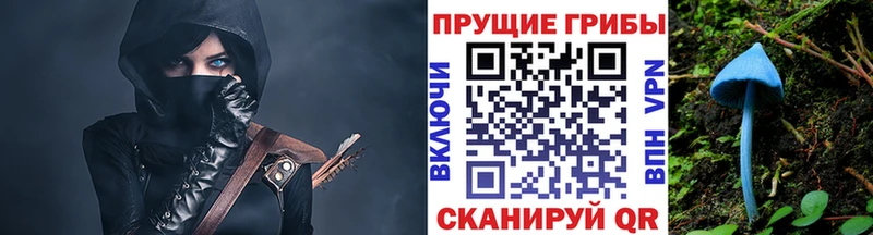 Галлюциногенные грибы Magic Shrooms  Азов 