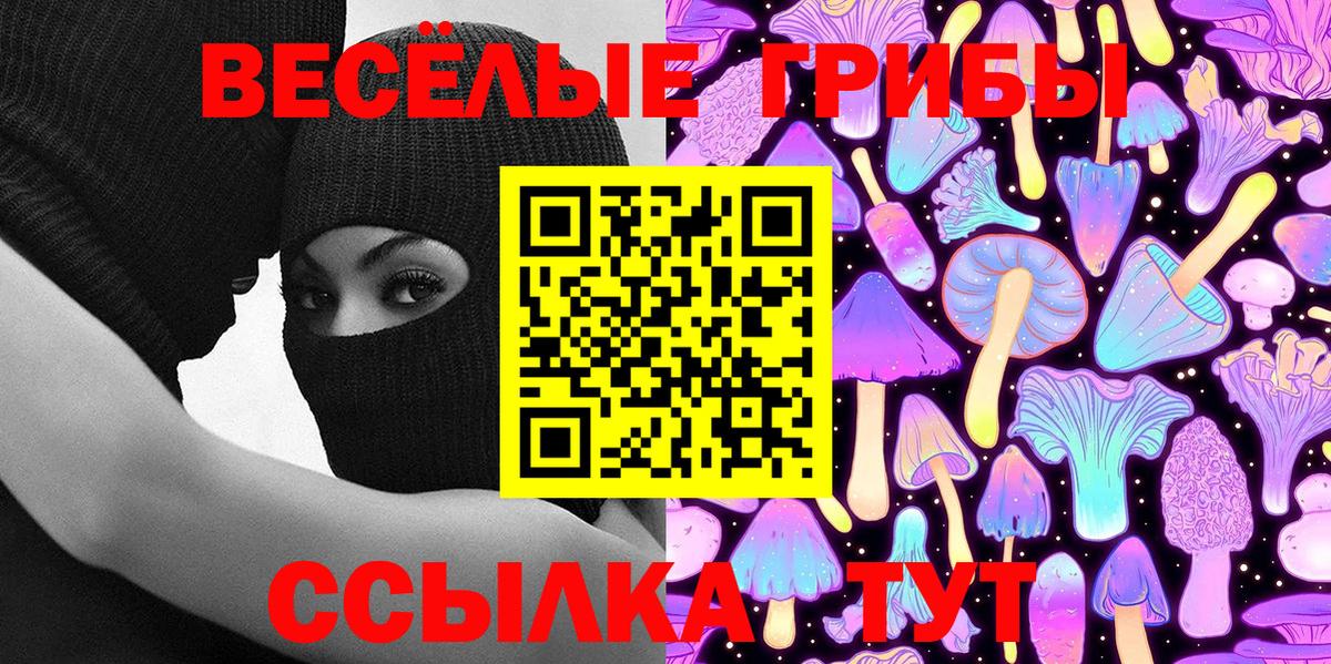 Азов  Галлюциногенные грибы Psilocybine cubensis  Вход с VPN 