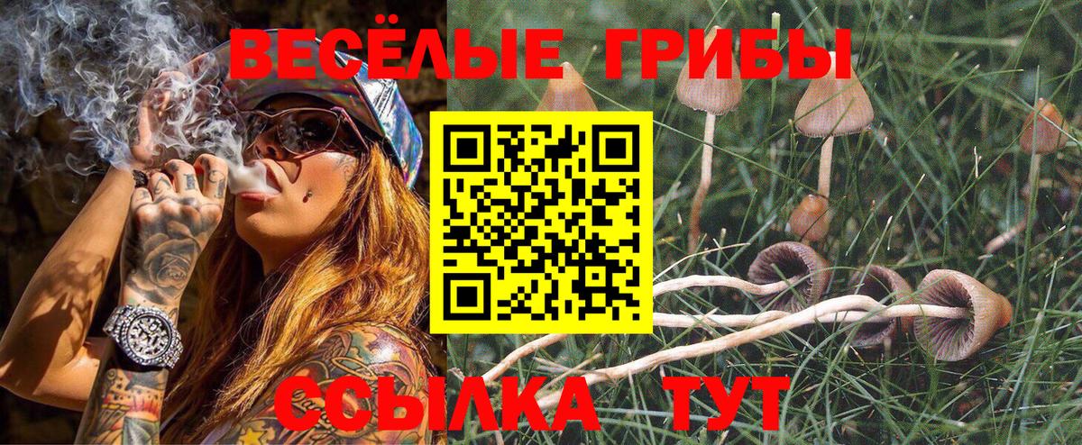 Галлюциногенные грибы Psilocybine cubensis Азов